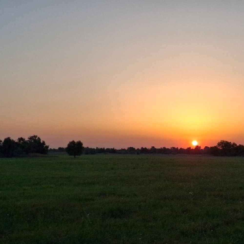 Домоткань
