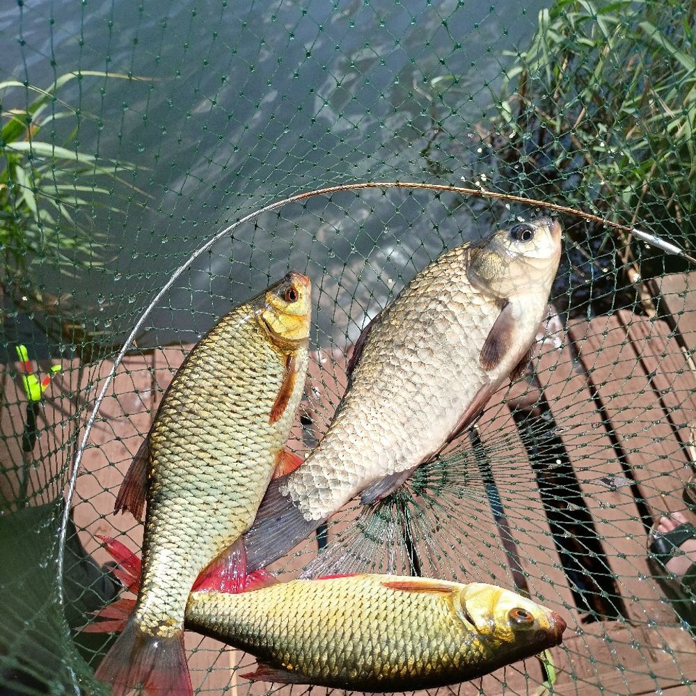 Річка