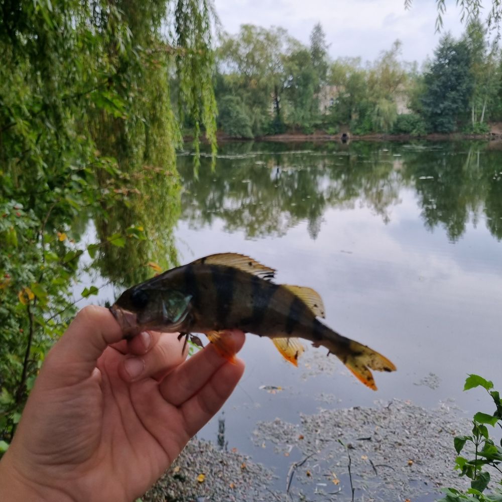 Озера іподрому