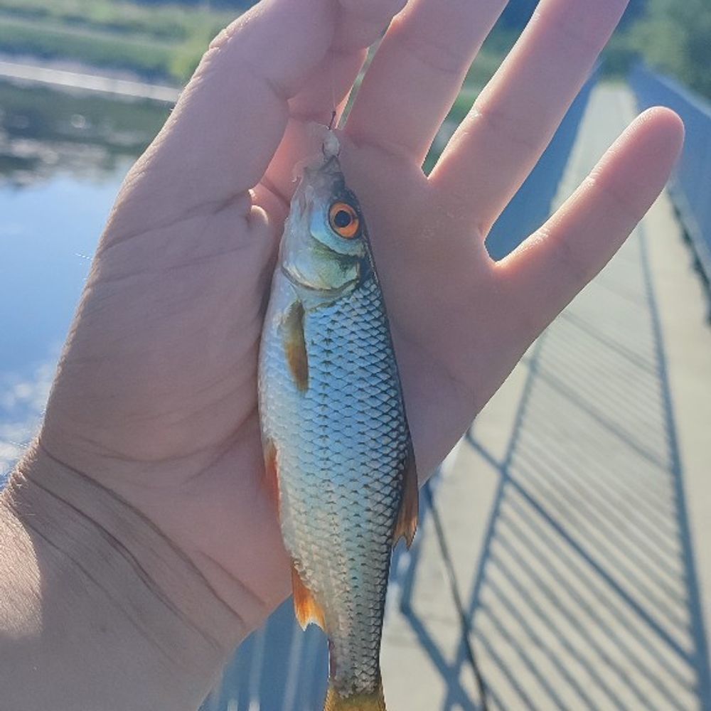 німецьке озеро 