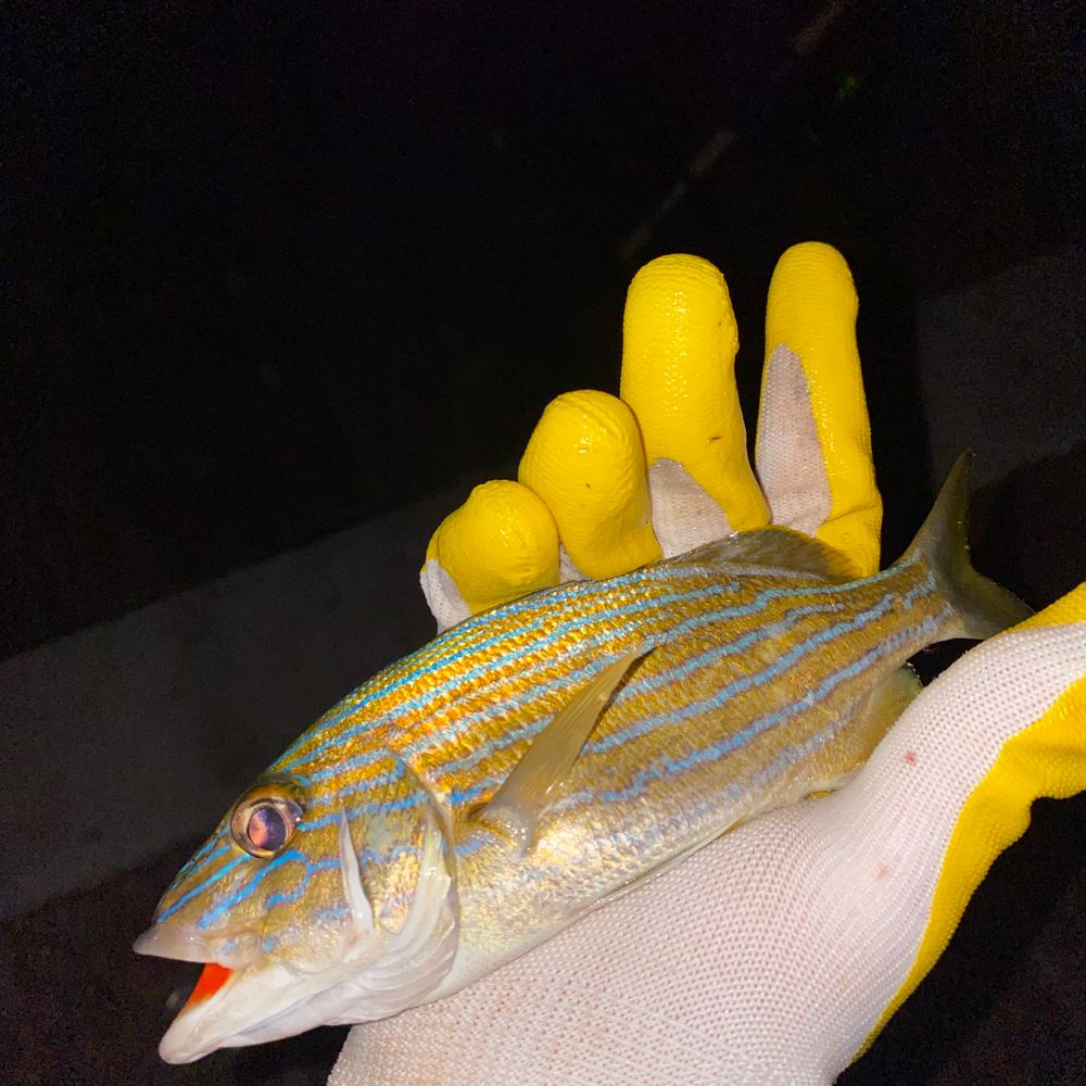 Pompano Beach, Miami 
