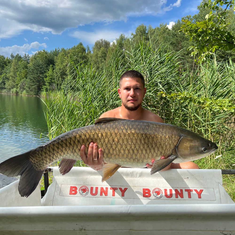 Баунті 