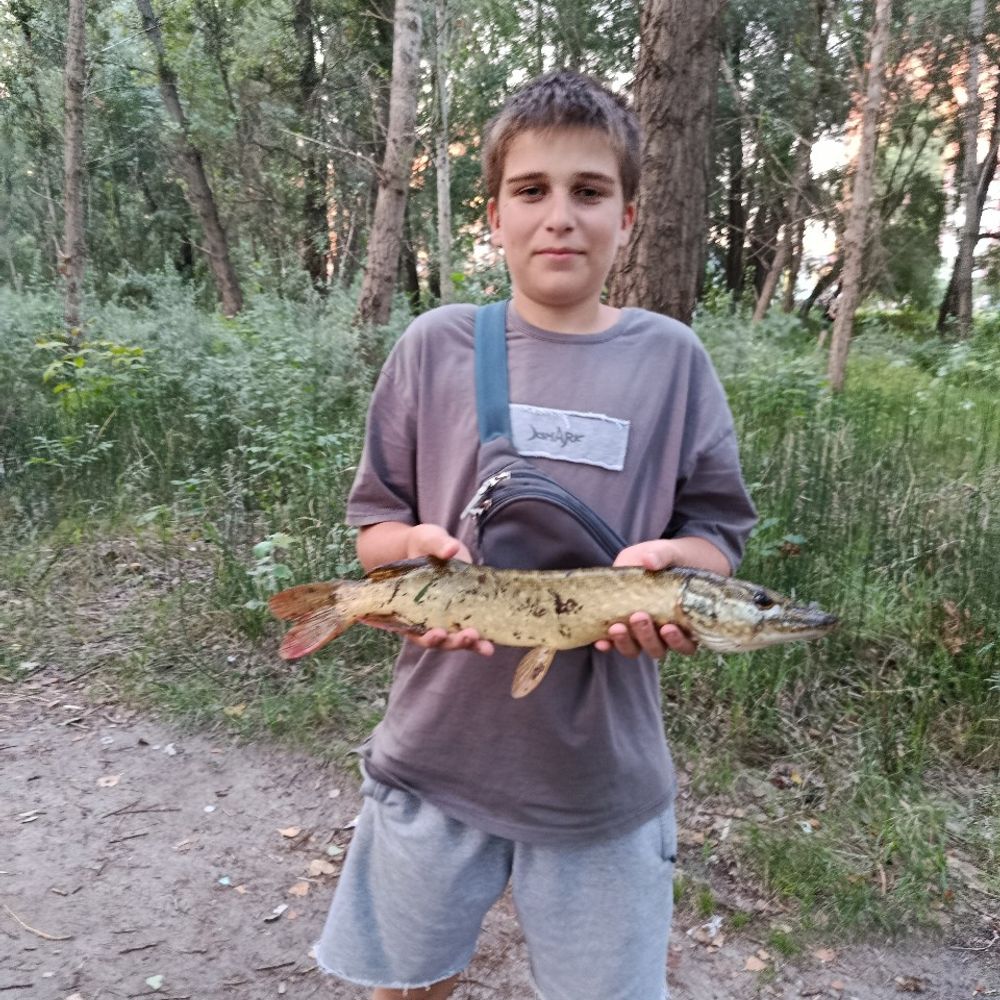Чешка