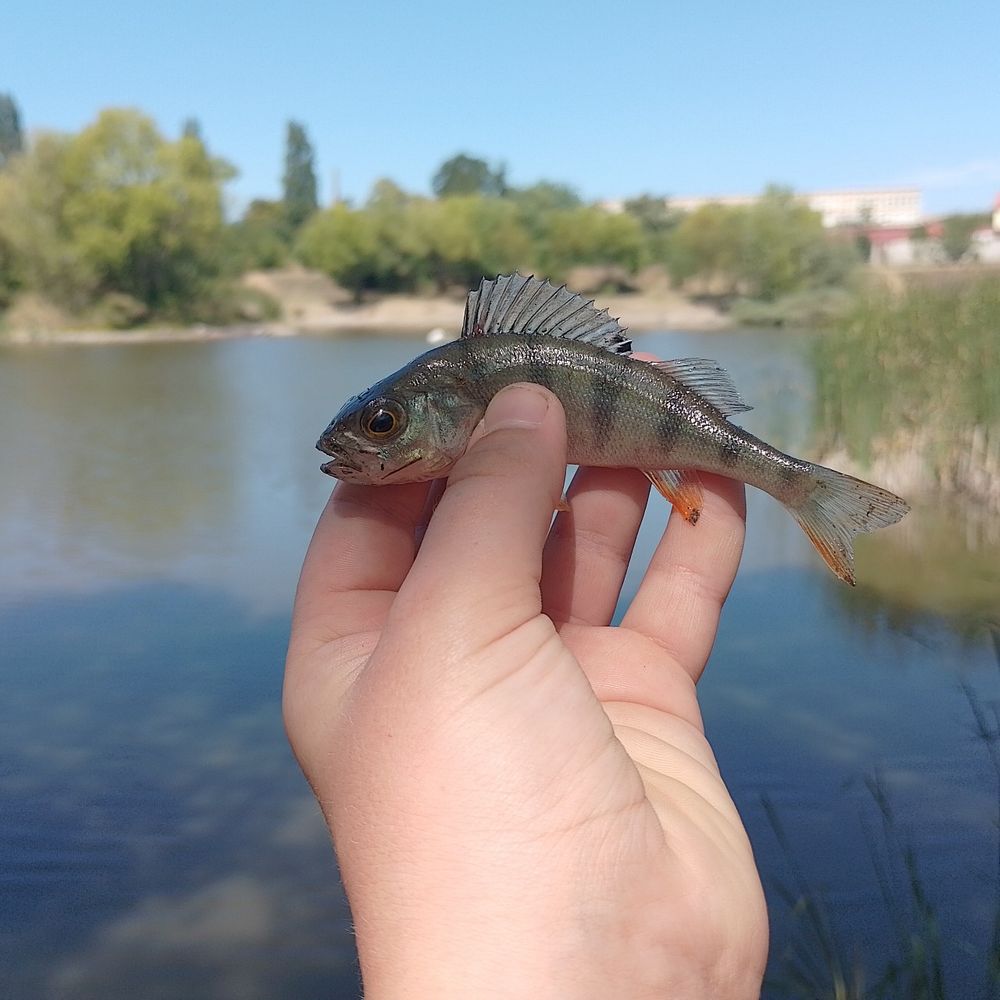 Кірпічка 