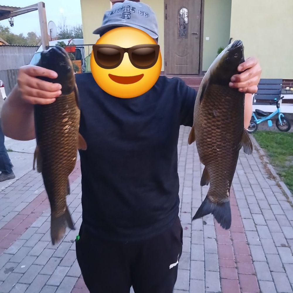 прірва 