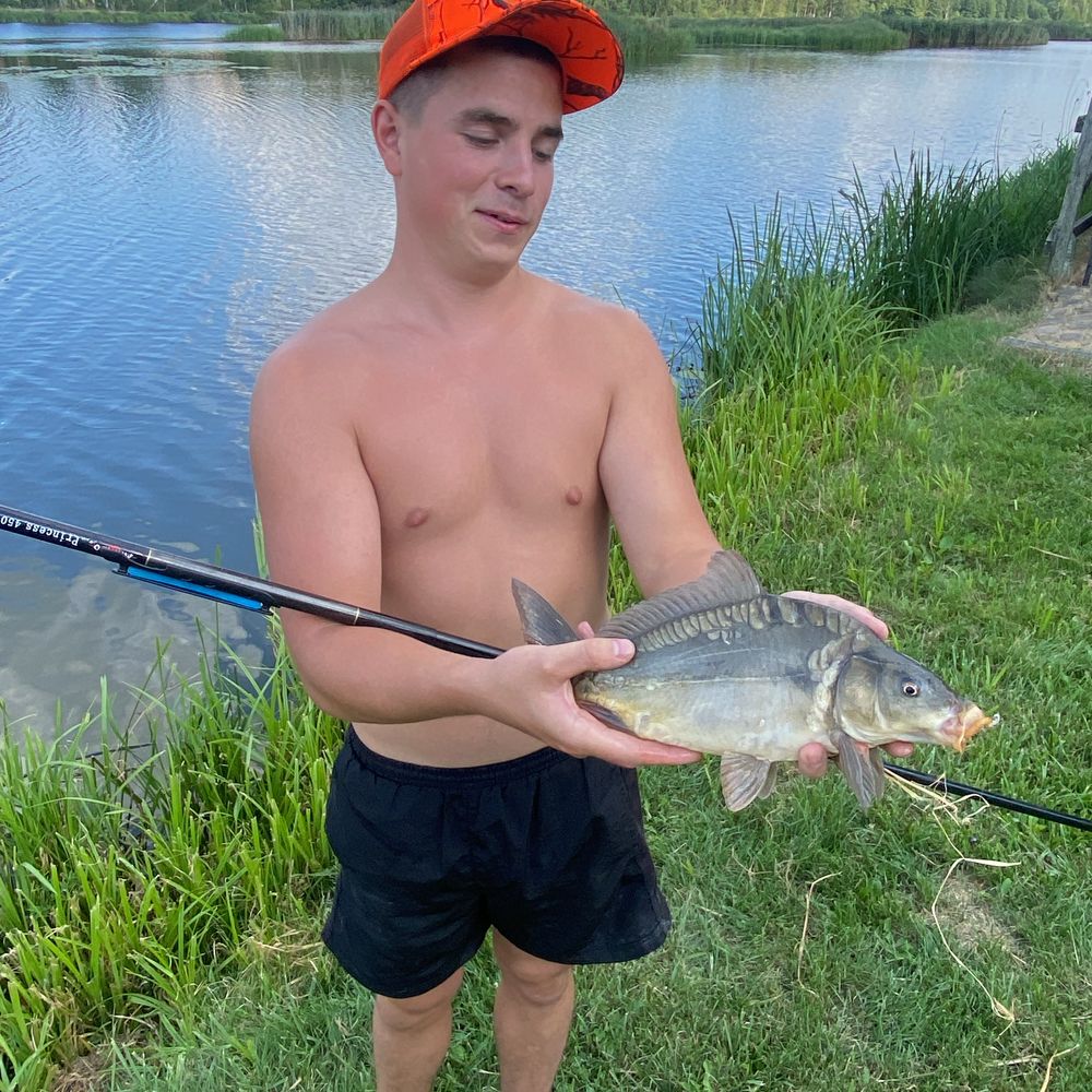 Carp
