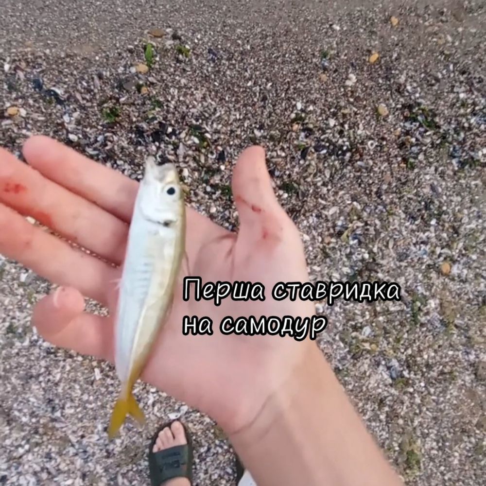 Чорне море біля Фонтанки