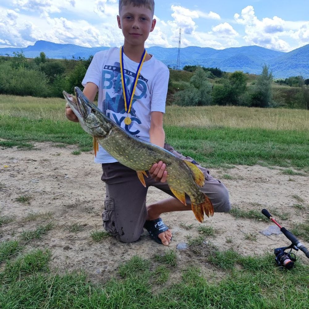 Szczupak