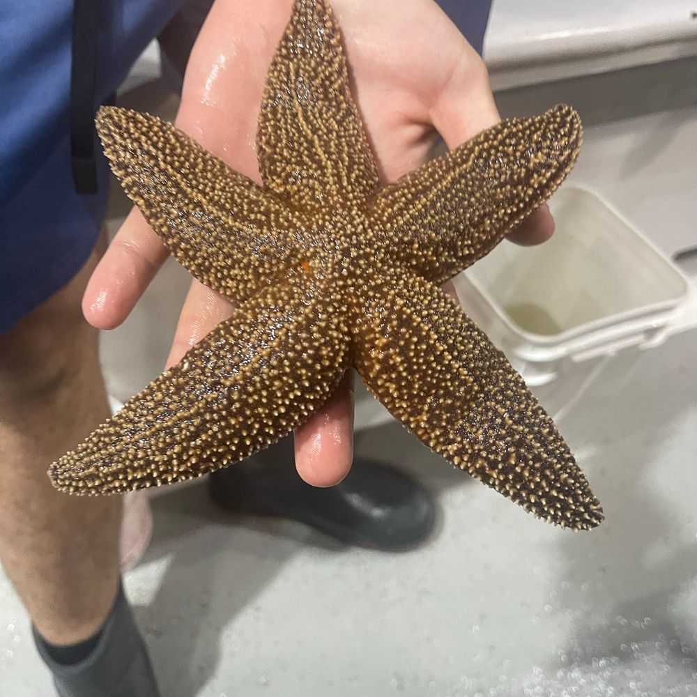Oceana 