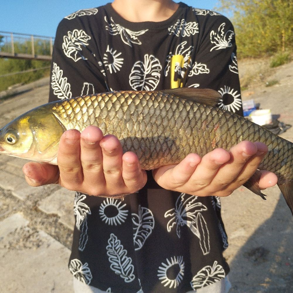 Дамба