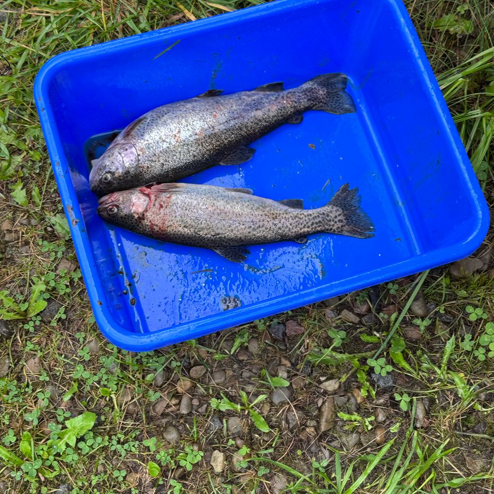 Річка
