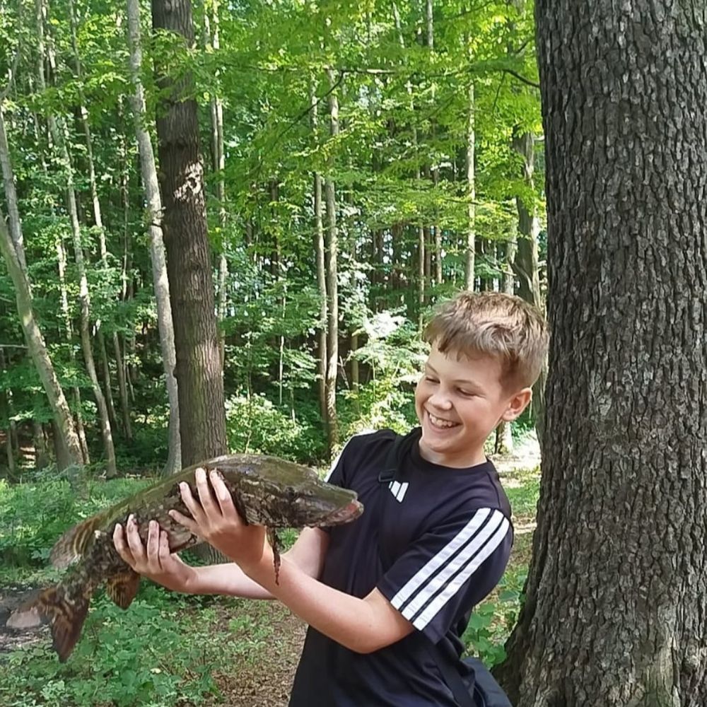 Щука