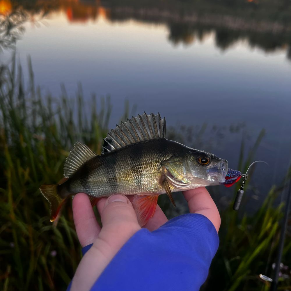 німецьке