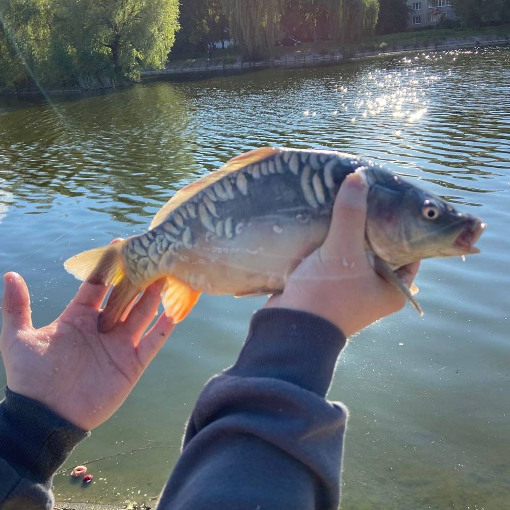 Naberezna