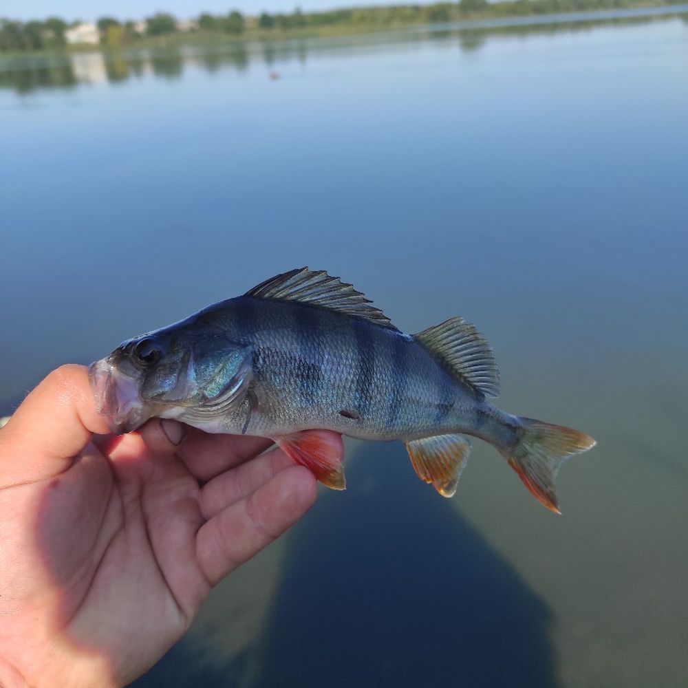 Водосховище