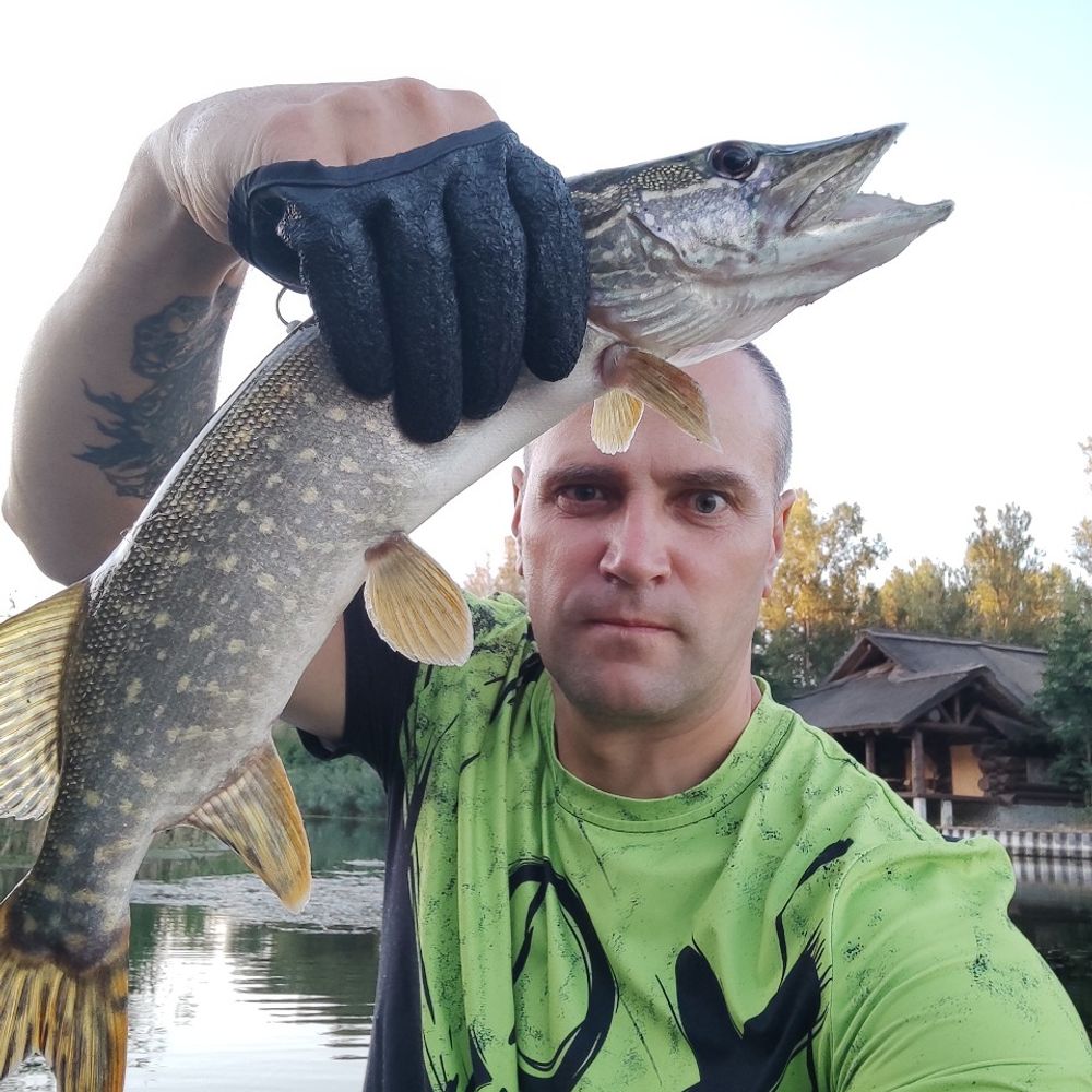 сіверський Дінець 