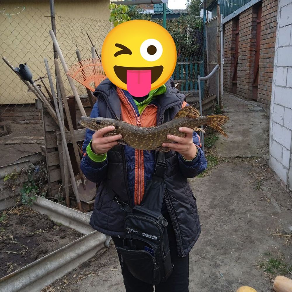 р.мжа