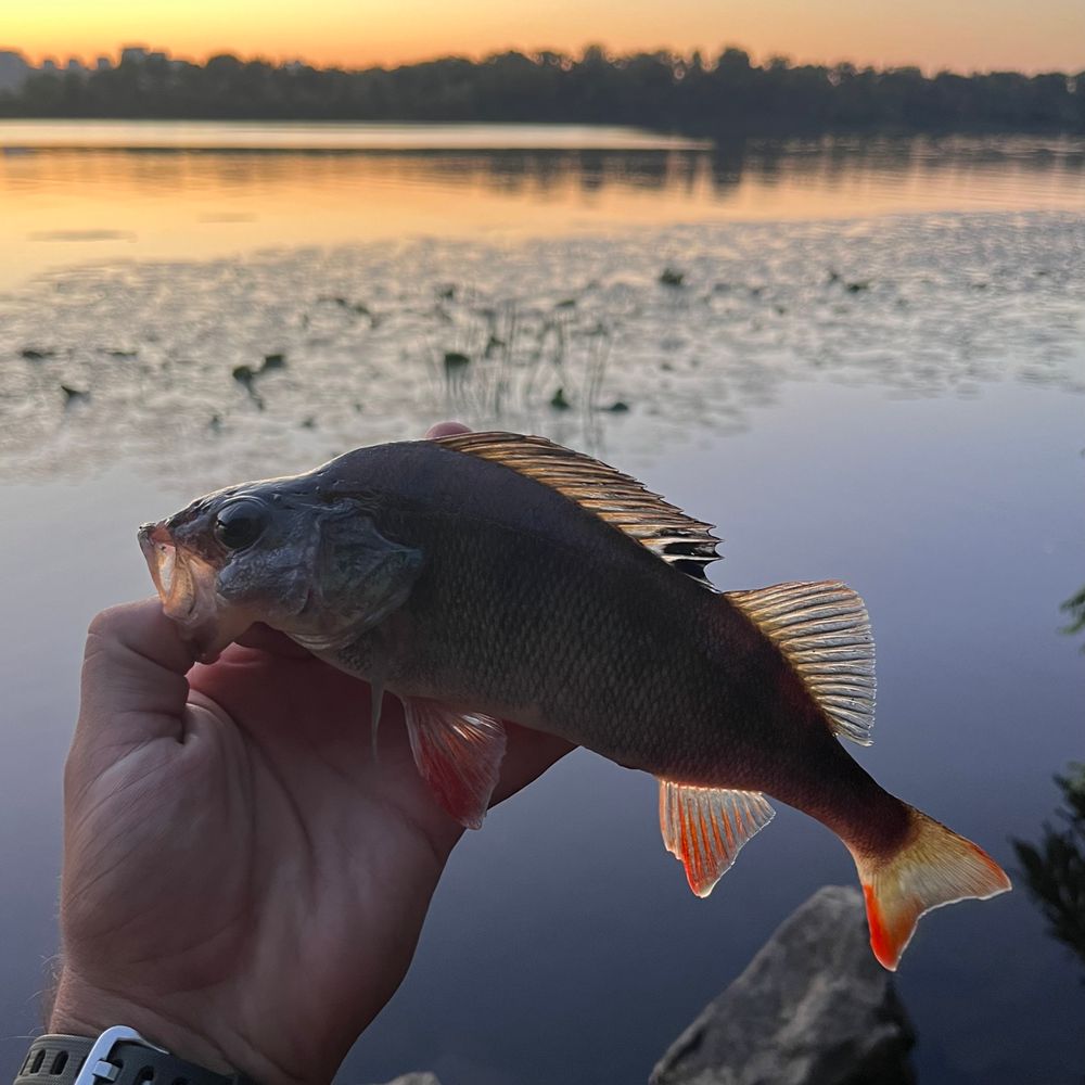Річка Дніпро
