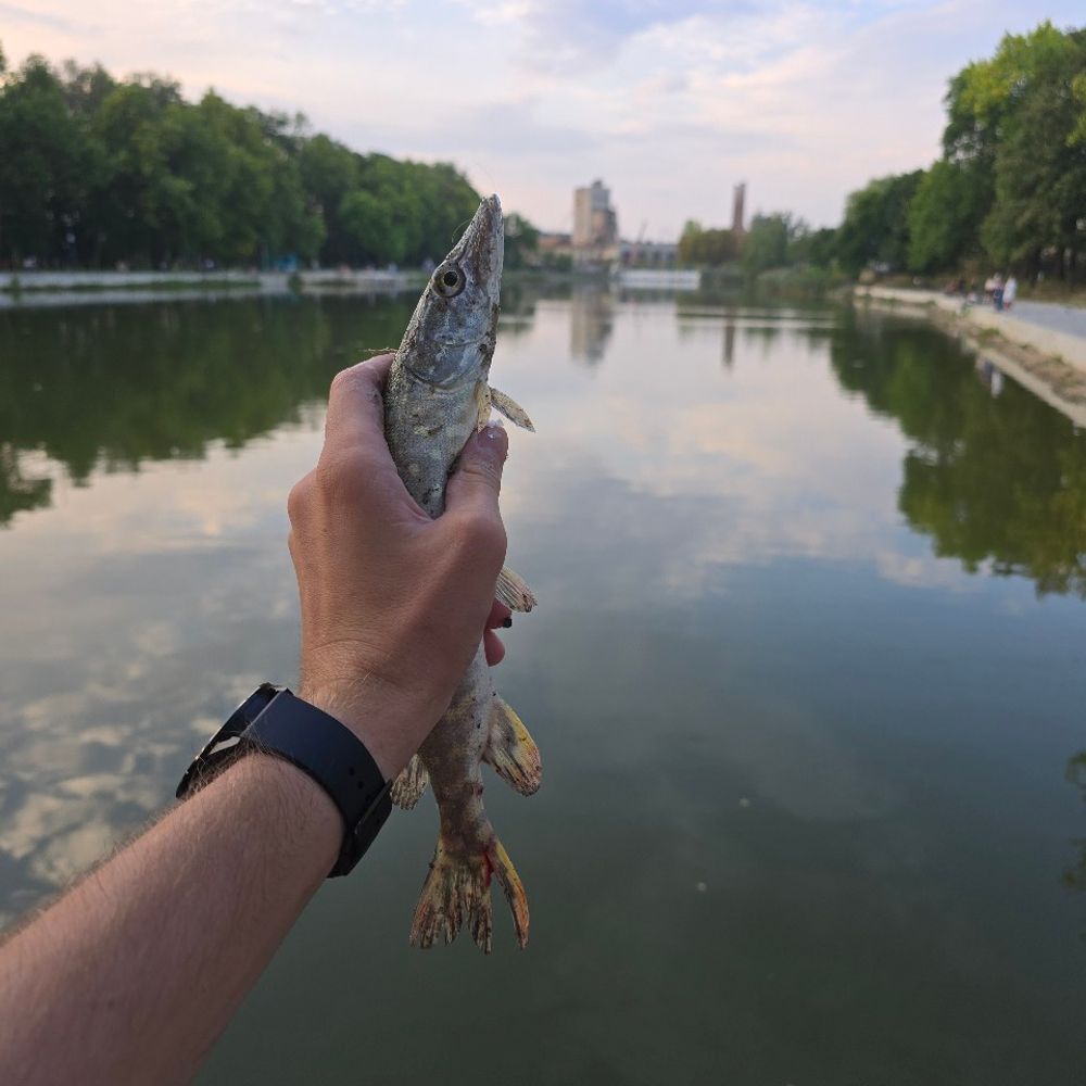 Левандівське озеро