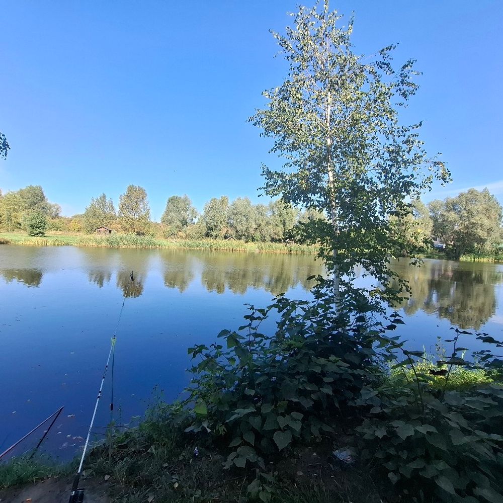 Кімерка