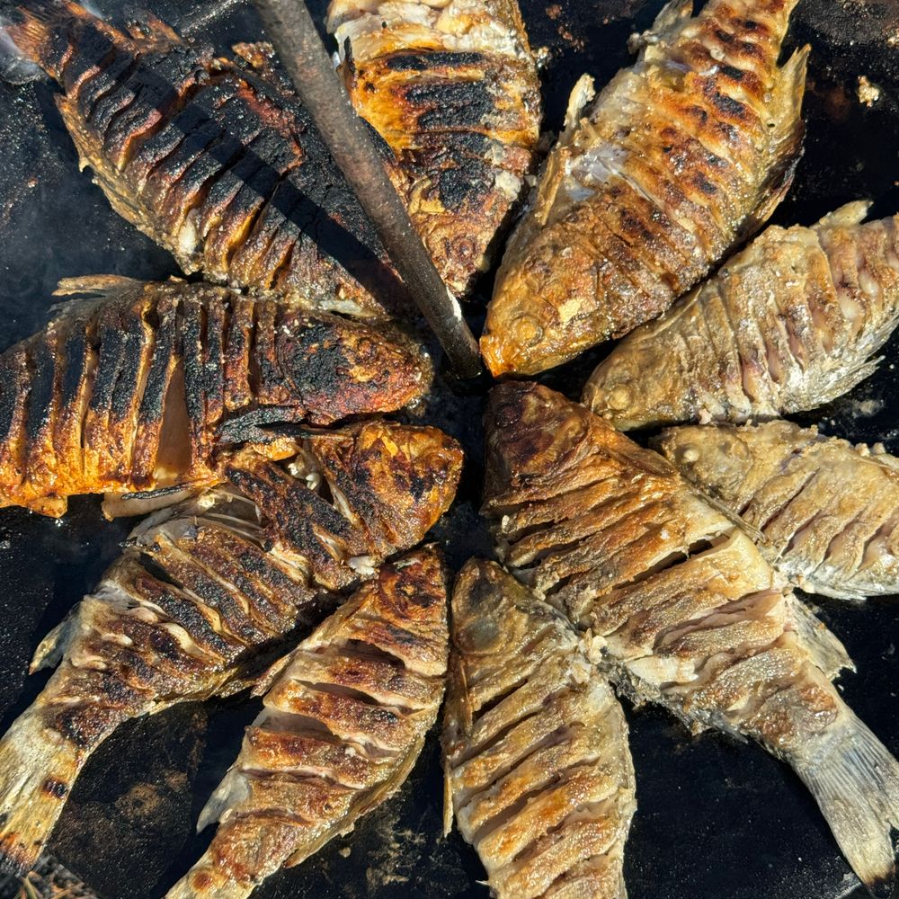 Річка Жива, смт. Оратів