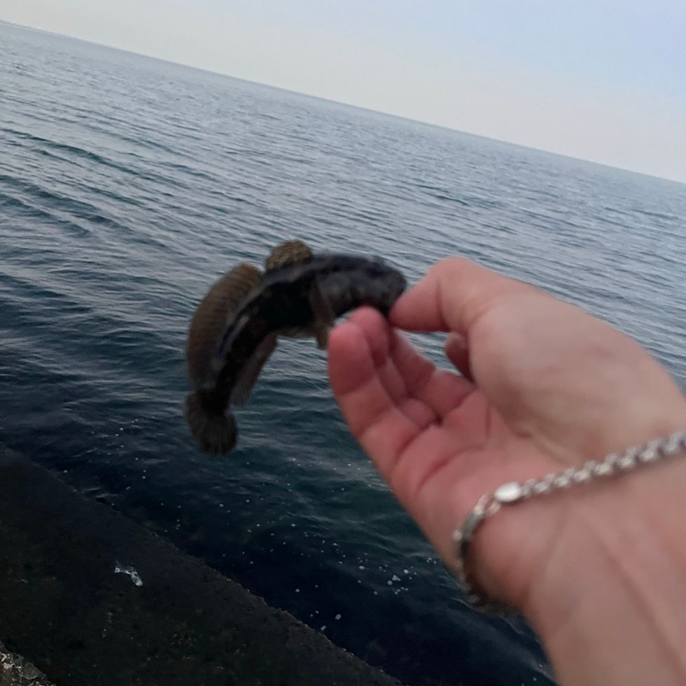 Море