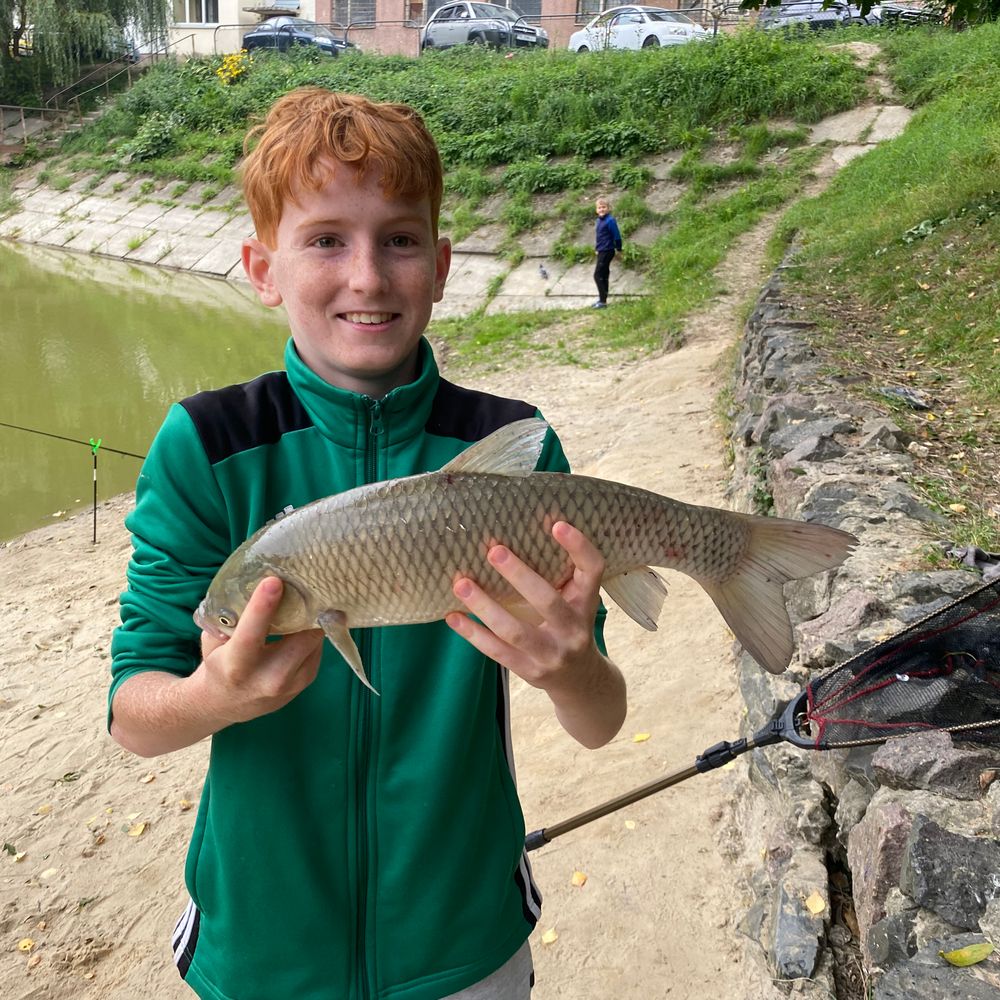 Karp