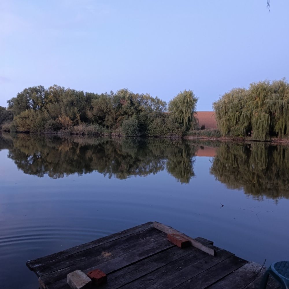 левада
