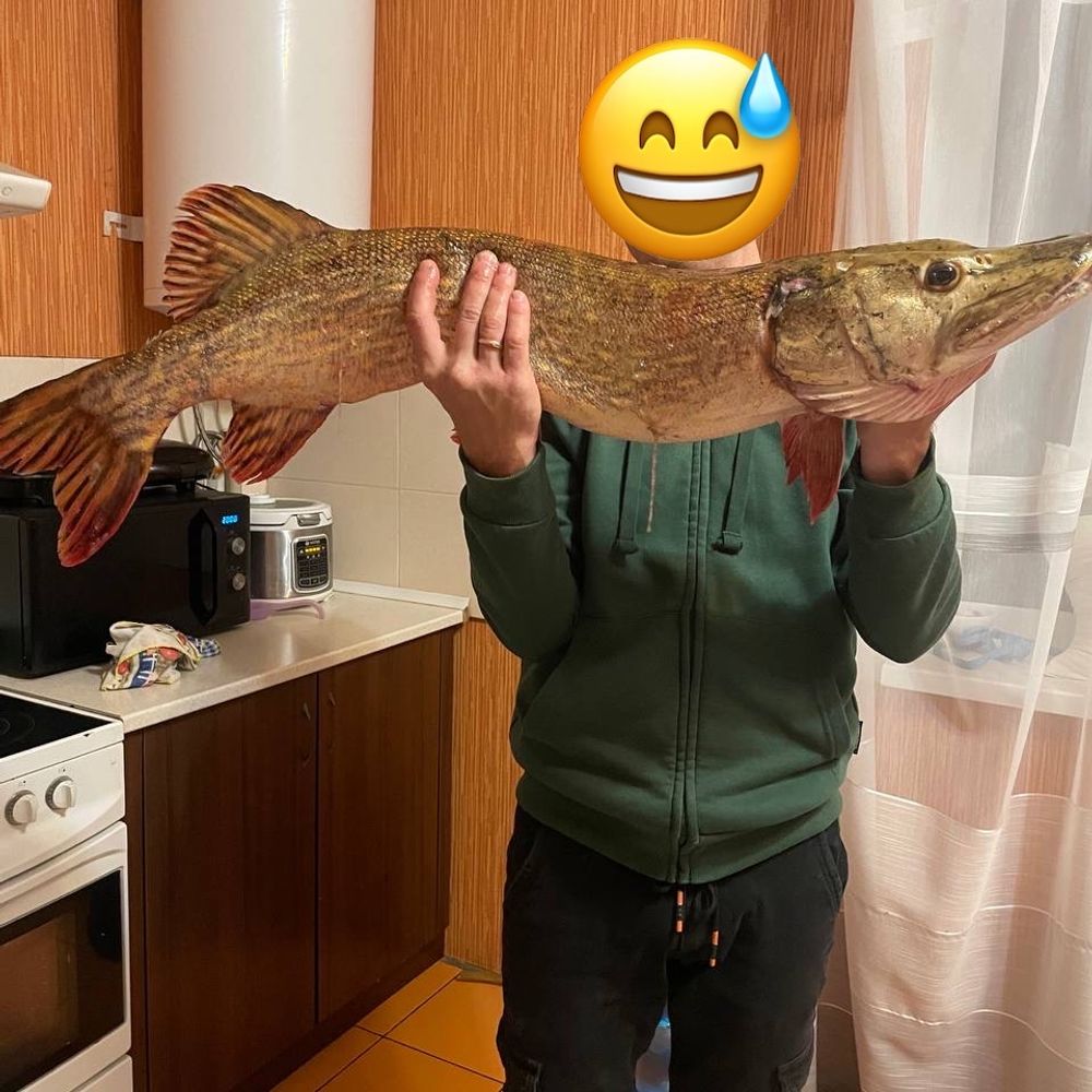Дісьонка
