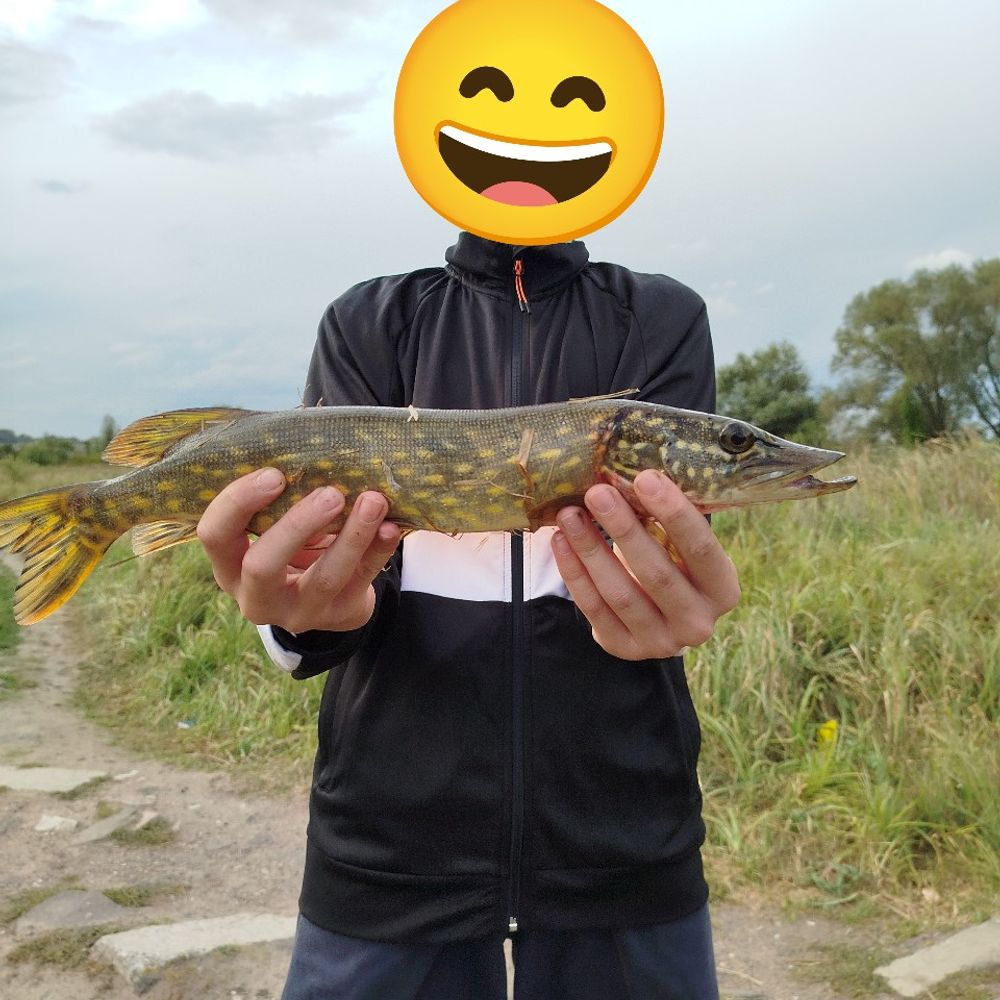 Р.Соб