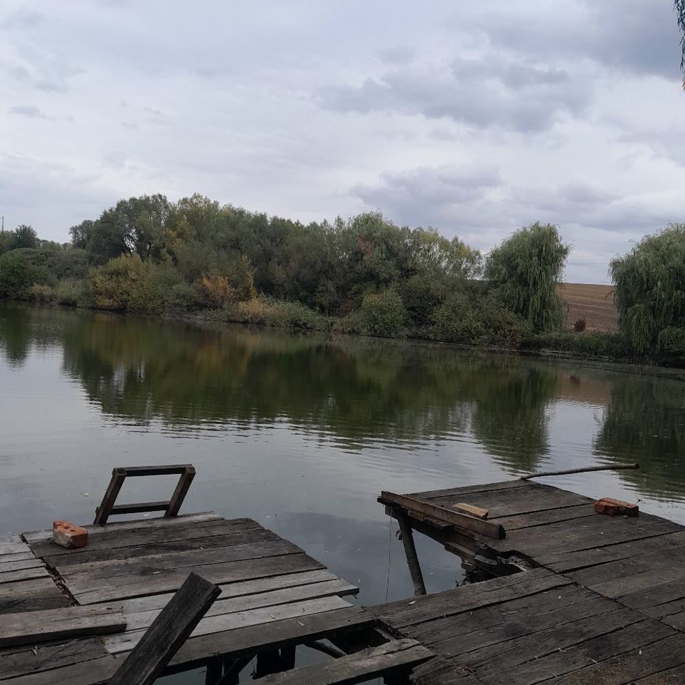 левада 