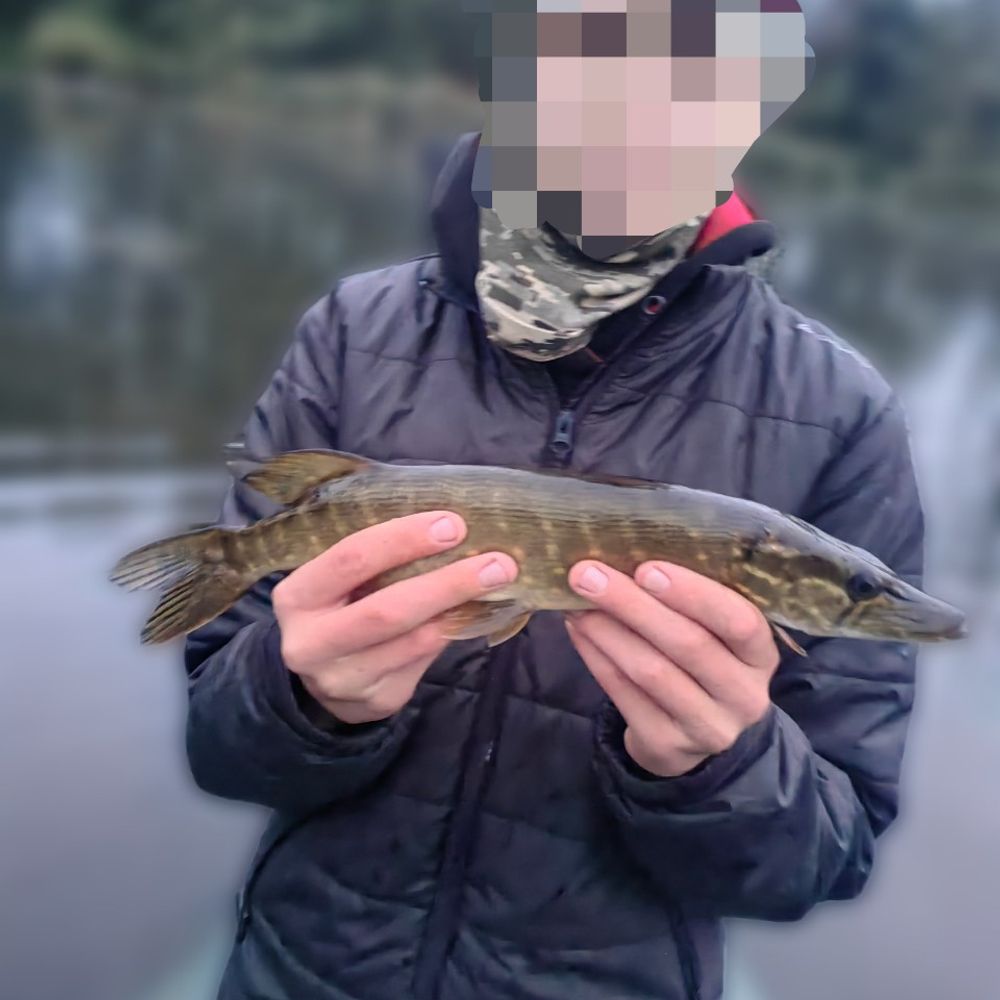 Левада