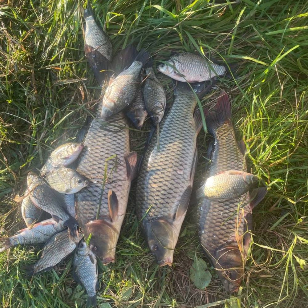 р. Устя, с.Городок.