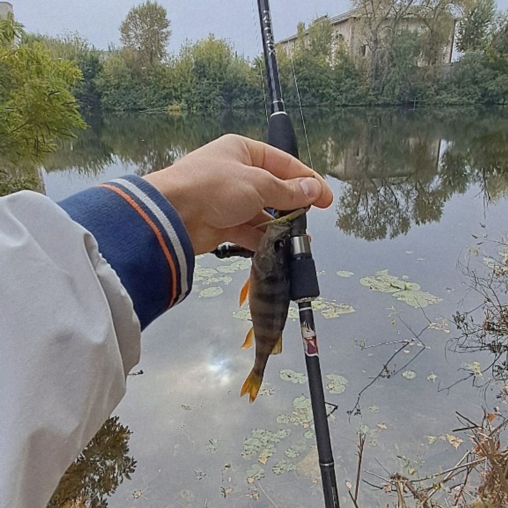 річка Коник 