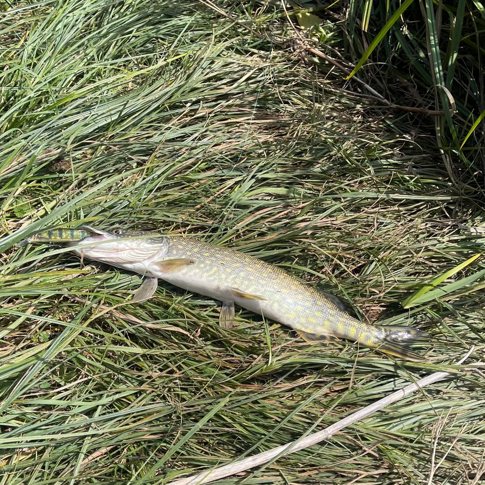 Ingulets River