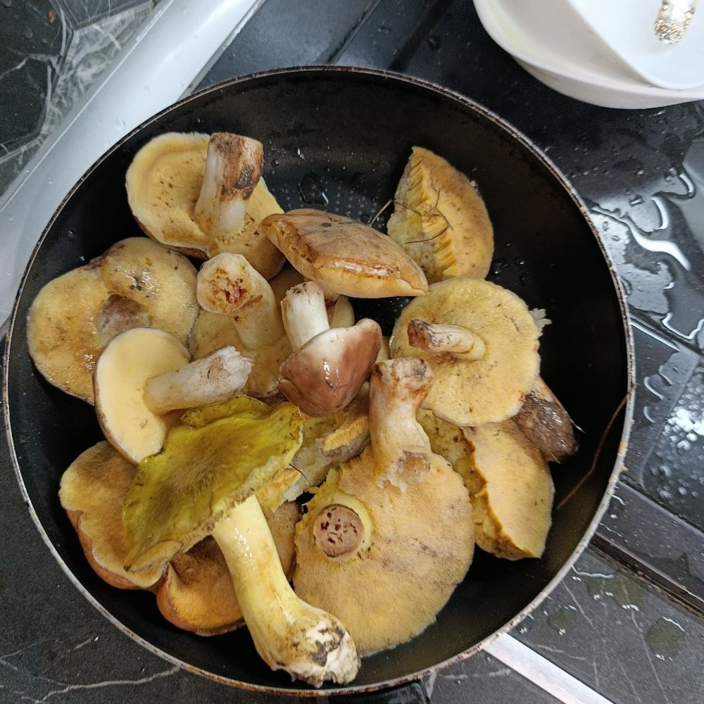 ліс