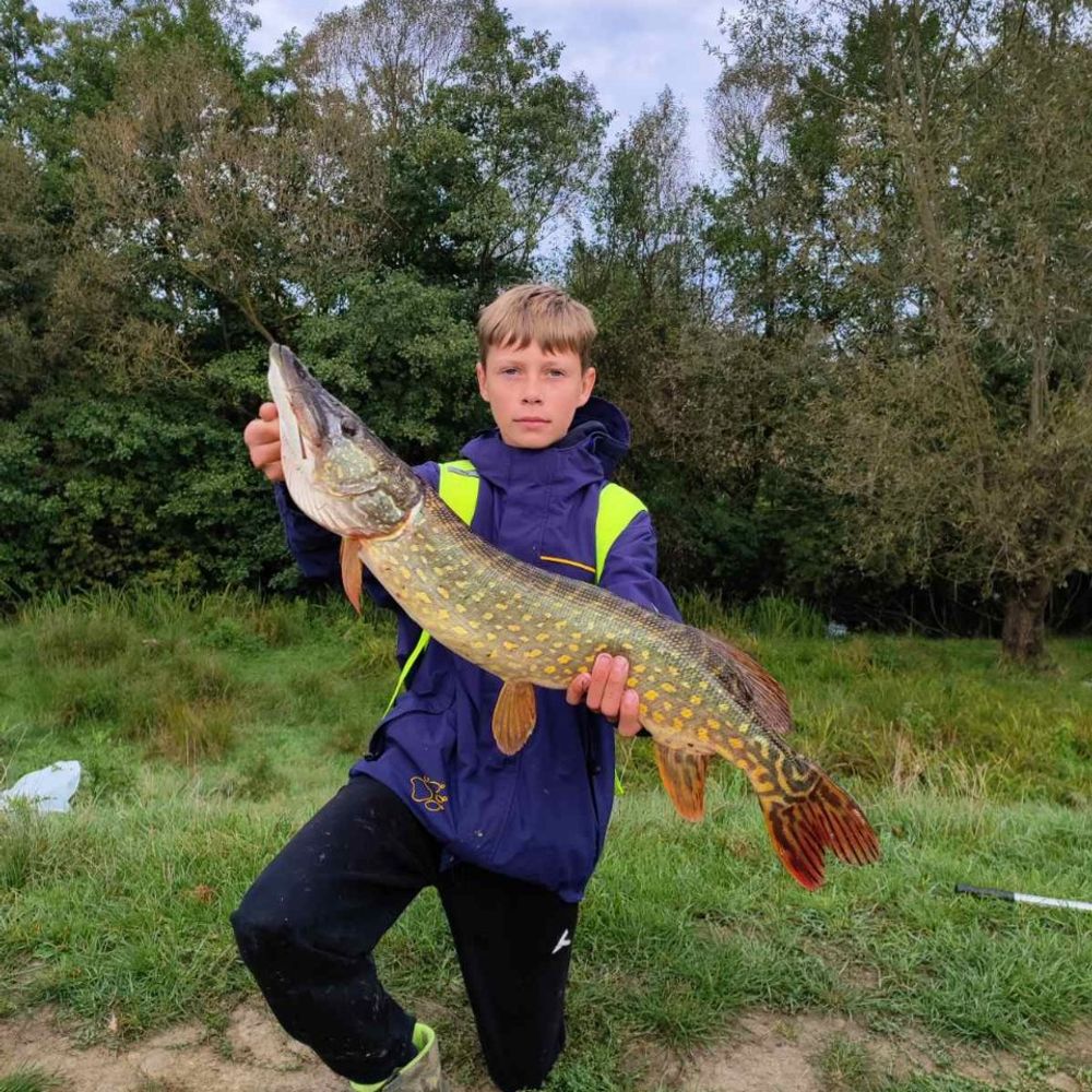Каламбіци 