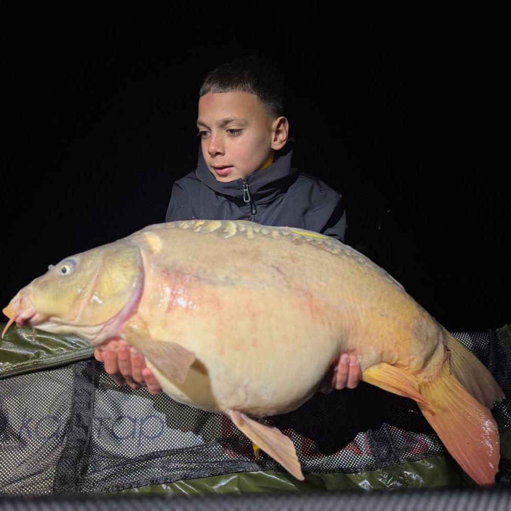 Кар тар