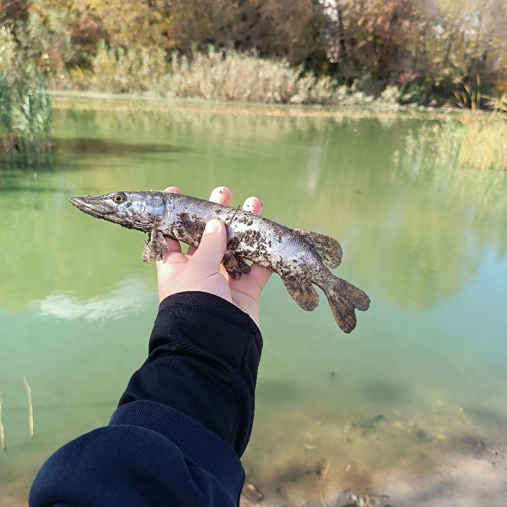 річка Хорол