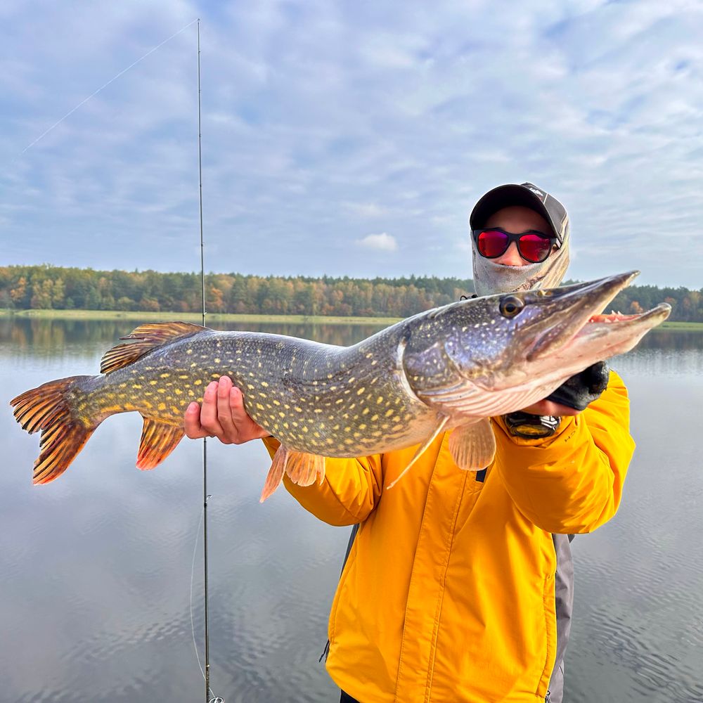 Pike
