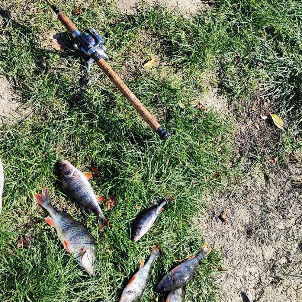 Доволі добре якщо за годинки дві