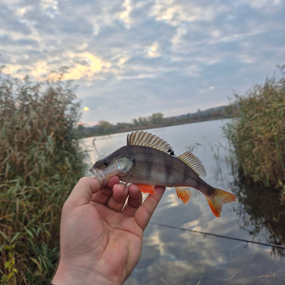 річка Інгул