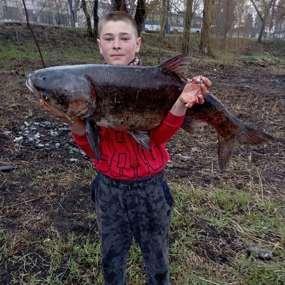 вална