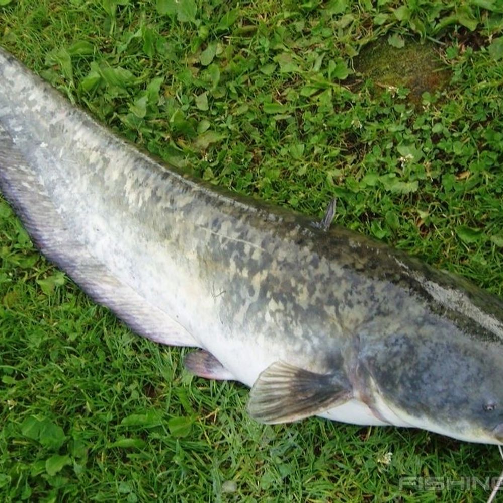 Школа 24