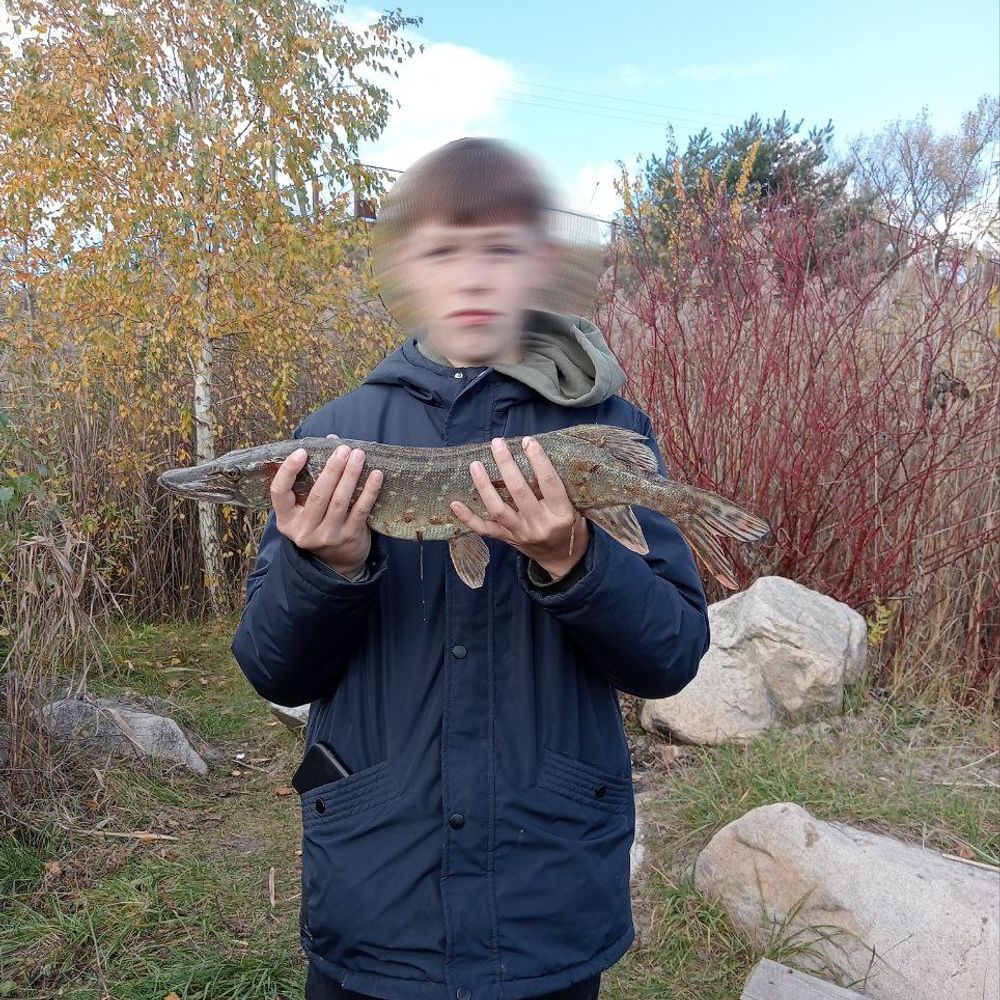 Щука