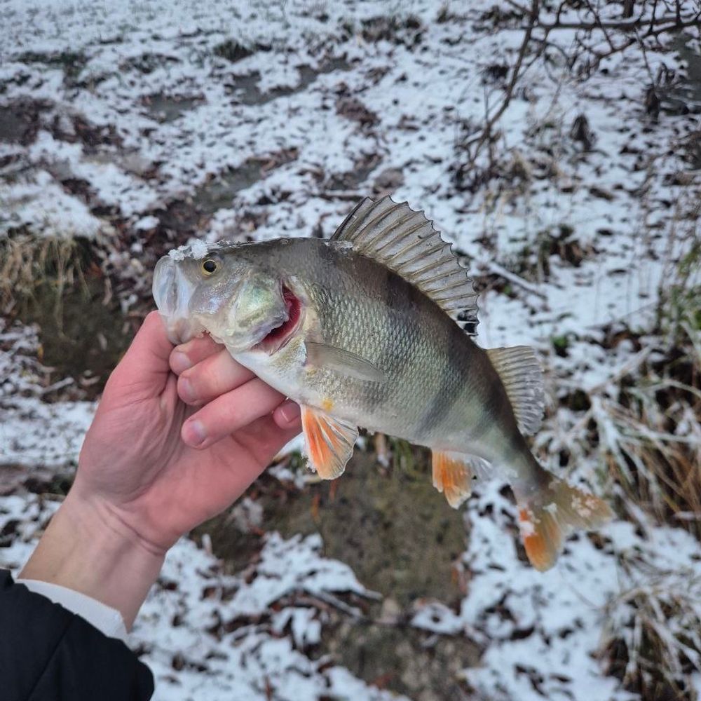 Хрінницьке водосховище