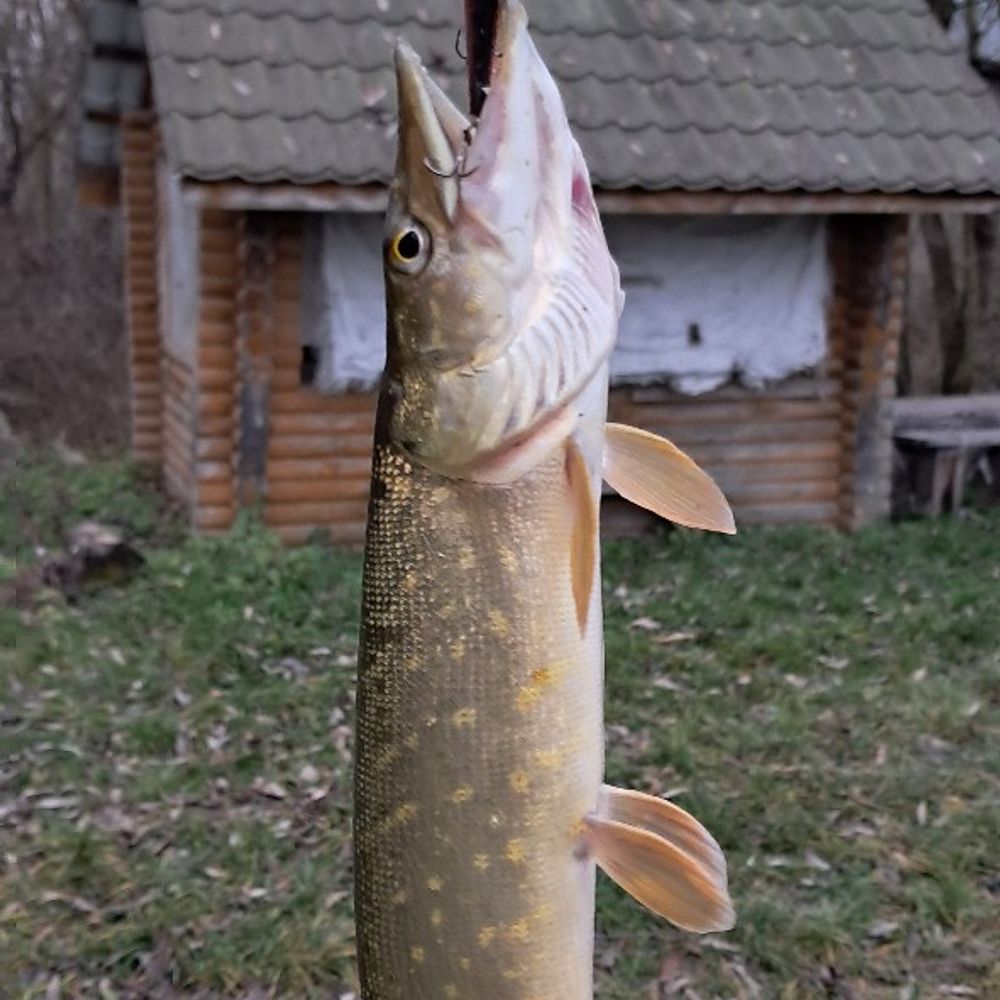 Глина