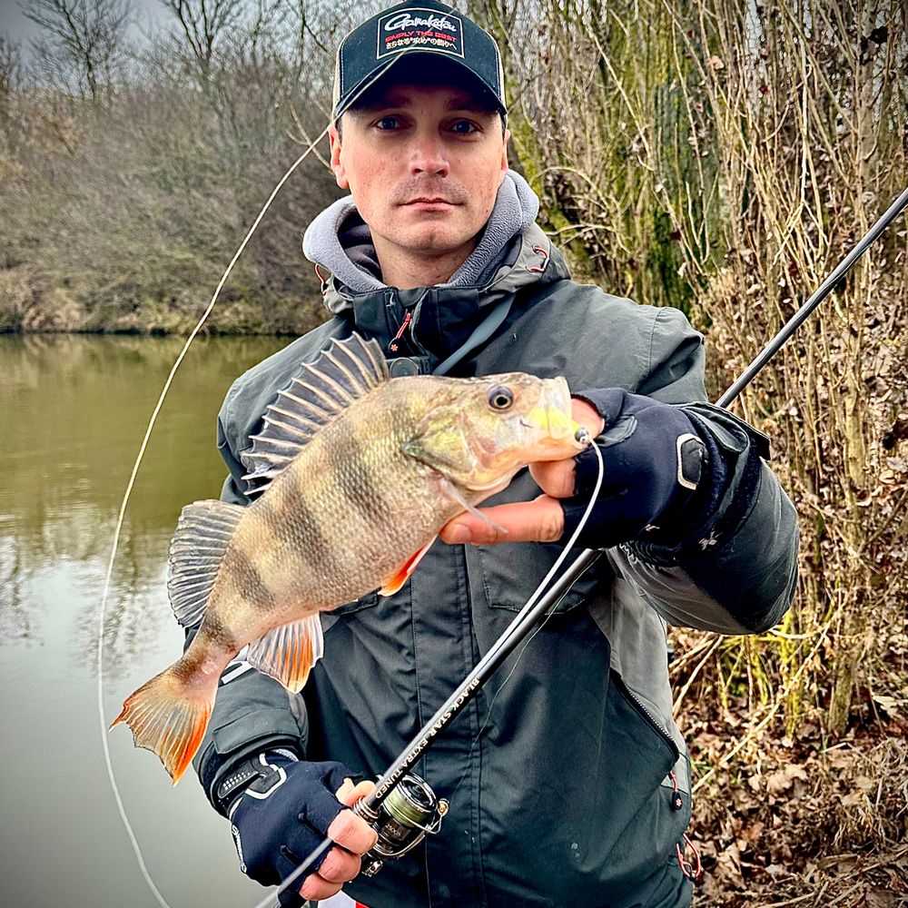 WinFish 