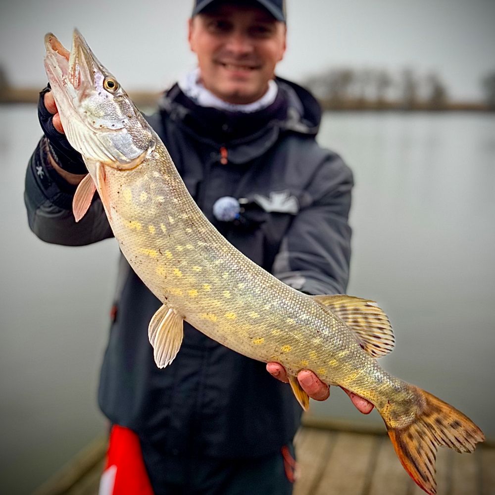 WinFish