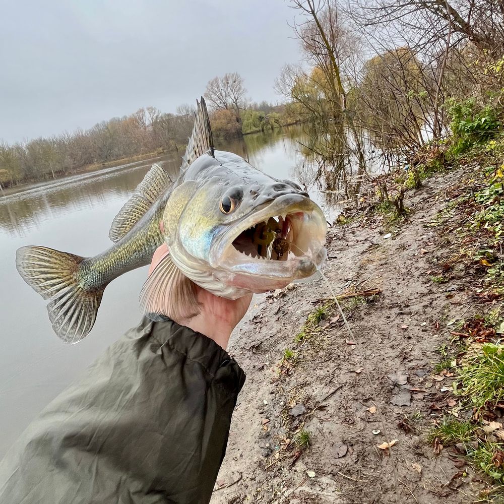 с. Новолобунь